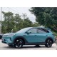 BYD Sea lion 05 EV, 520 Flagship, 2025